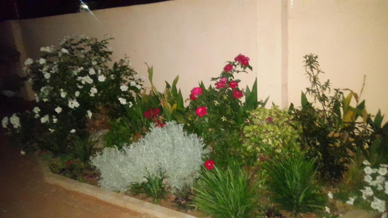 Tintech Bed&Breakfast Francistown Exteriér fotografie